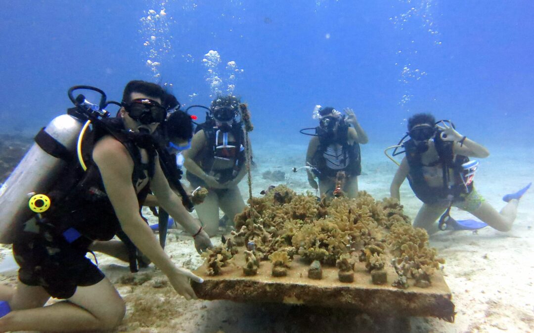 Scuba Diving Packing List: What to Pack For Your Next Dive Trip