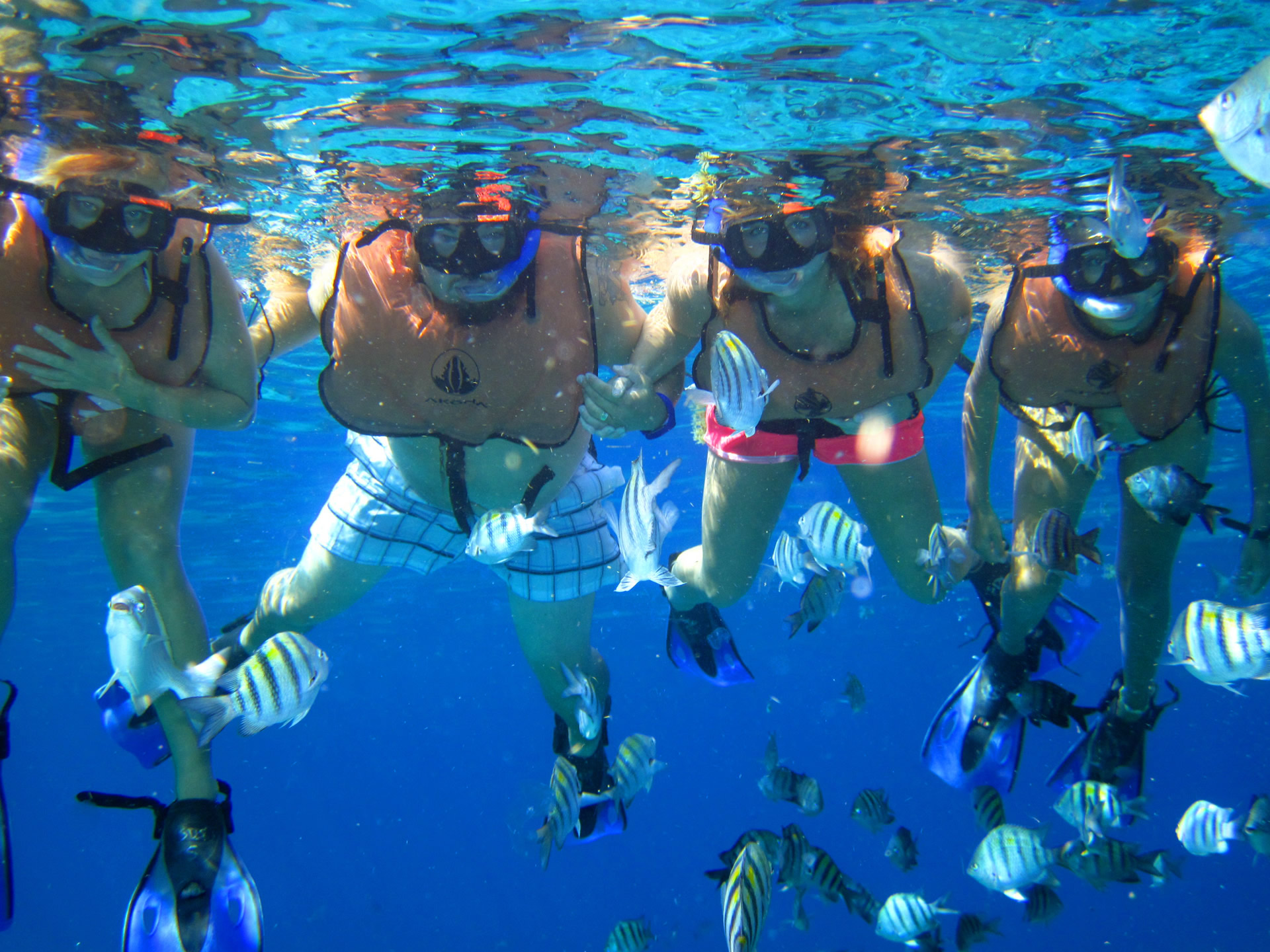 best snorkeling in Cozumel, beginner snorkeling Cozumel