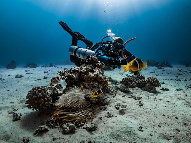 Shore Diving vs Boat Diving in Cozumel – Choosing Your Dive Adventure