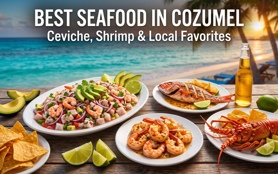 Best Seafood in Cozumel – Ceviche, Shrimp & Local Favorites