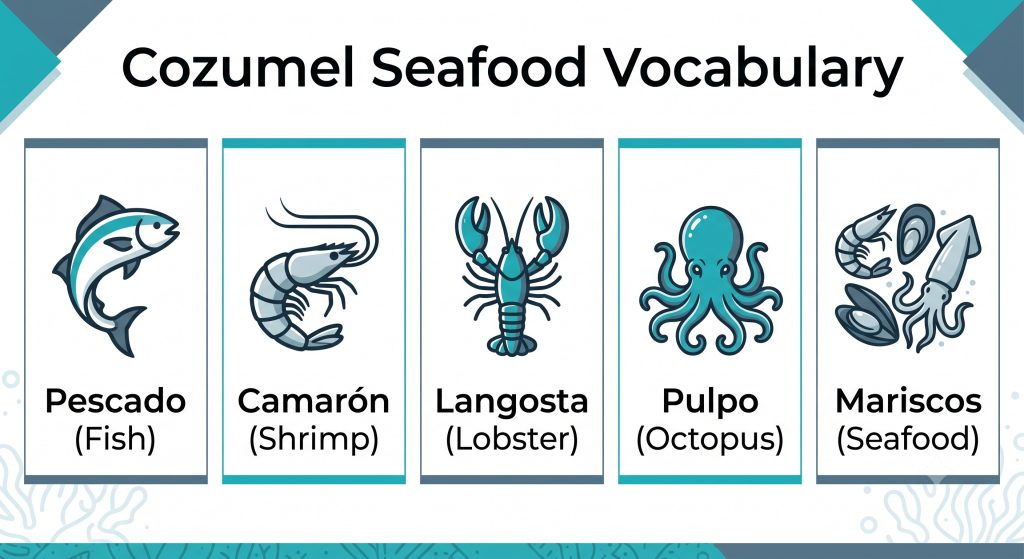 Informational guide listing common Spanish seafood terms used on Cozumel restaurant menus