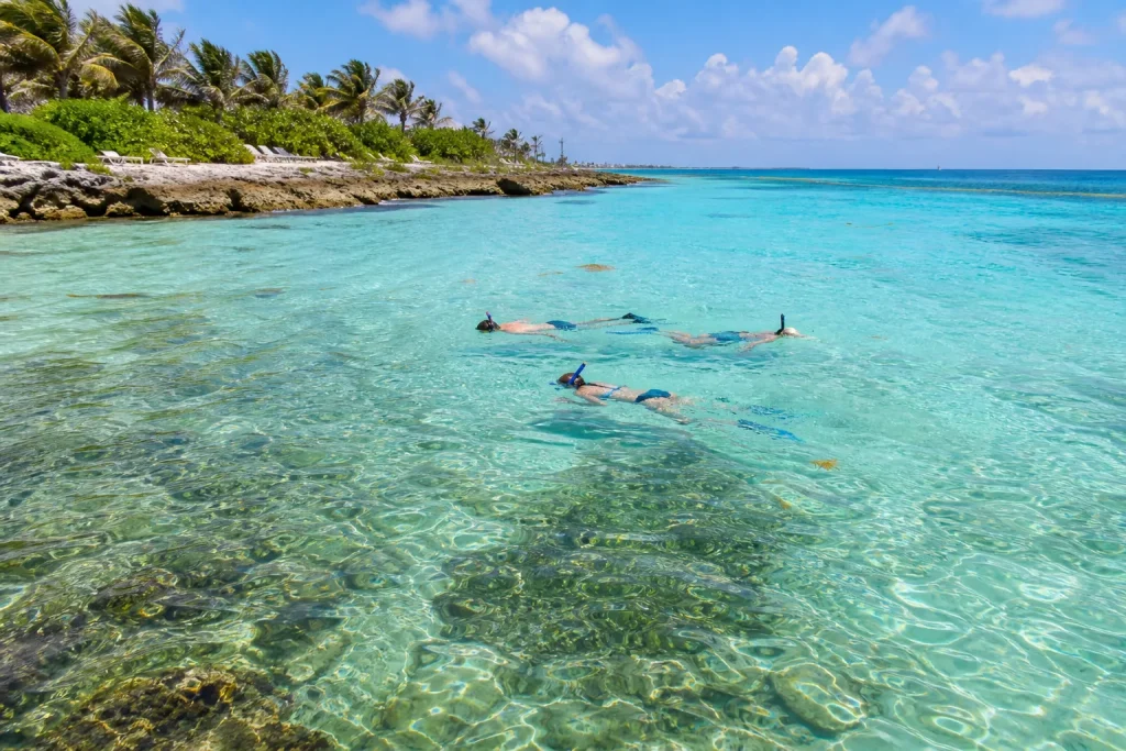 Guided shore snorkeling in clear water on the west side of Cozumel