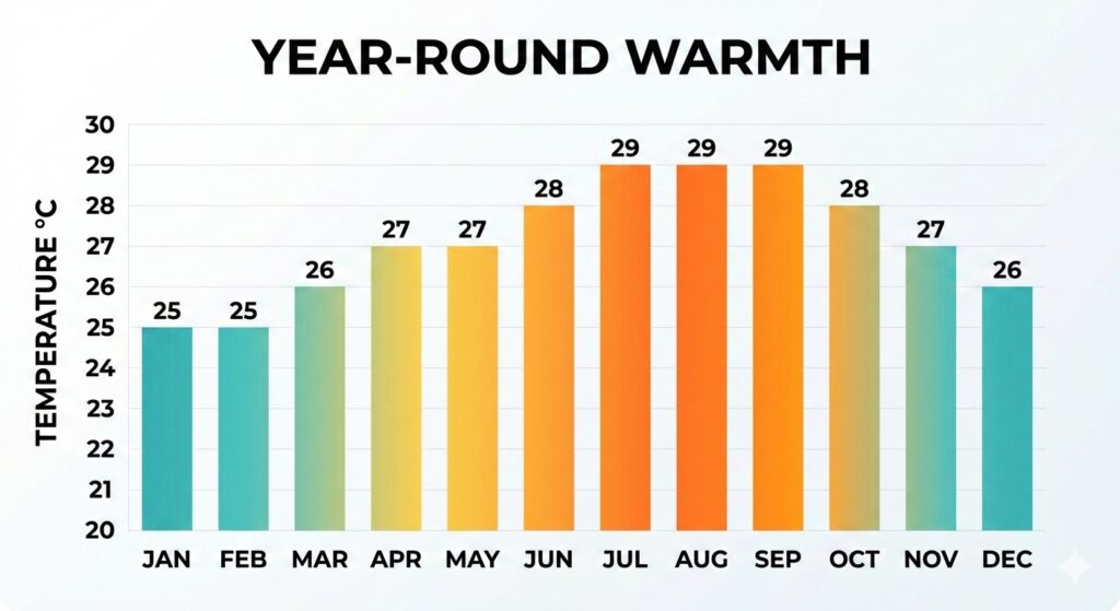 A bar chart showing Cozumel water temperatures ranging from 25 to 29 degrees Celsius throughout the year.