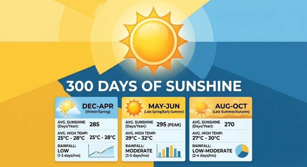 Visual chart showing sunny days and seasonal conditions for visiting Cozumel.