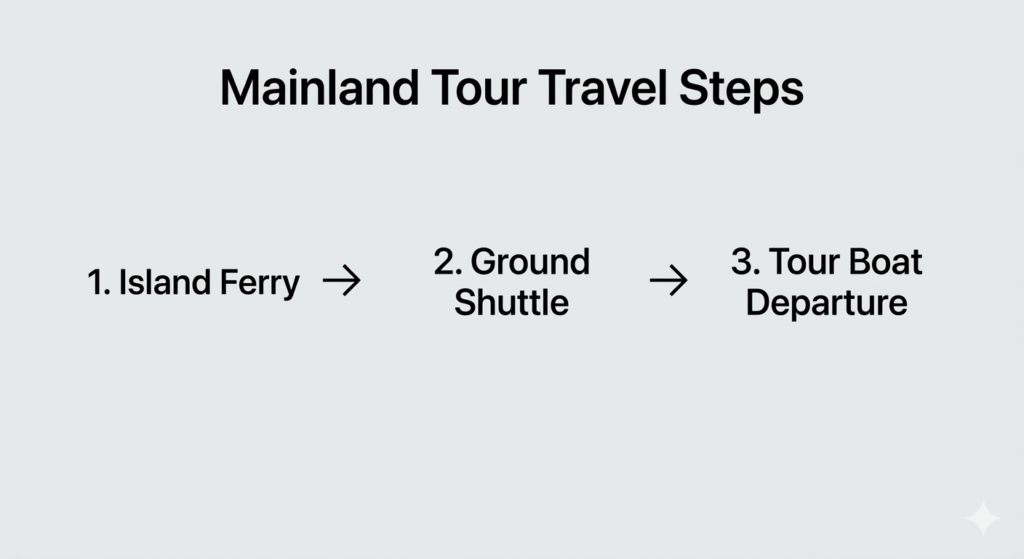 Infographic chart displaying a step-by-step travel sequence from Cozumel to a mainland tour departure point using icons for ferry, shuttle, and boat.