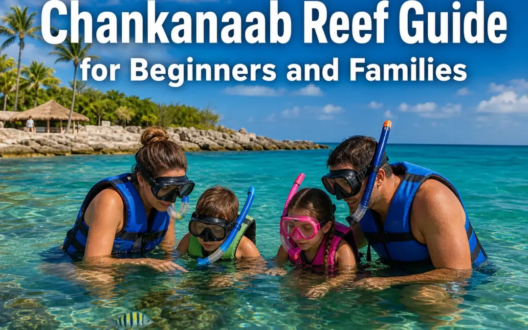 Is Chankanaab Reef Good for Families? A Beginner Snorkeling Guide