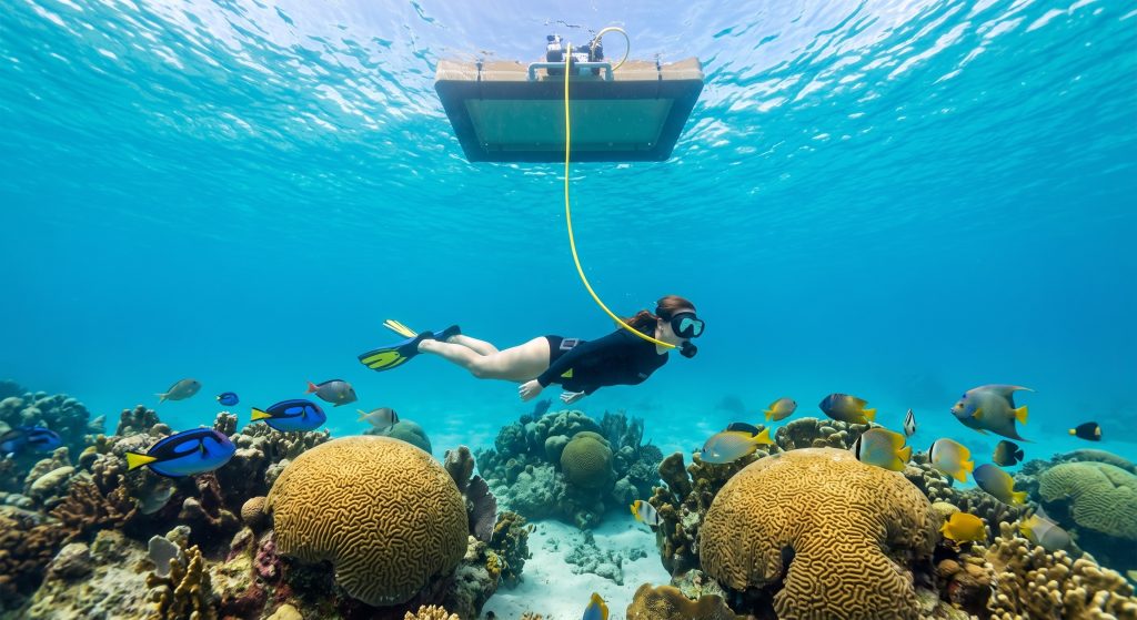 Alt Text: Participant using SNUBA breathing apparatus near a vibrant coastal reef system